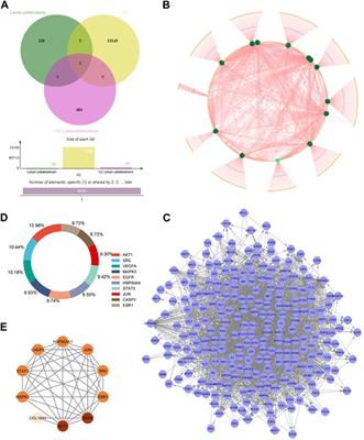 From seeds to survival rates: investigating <mark class="highlighted">Linum</mark> usitatissimum’s potential against ovarian cancer through network pharmacology